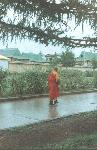 Album mongolie